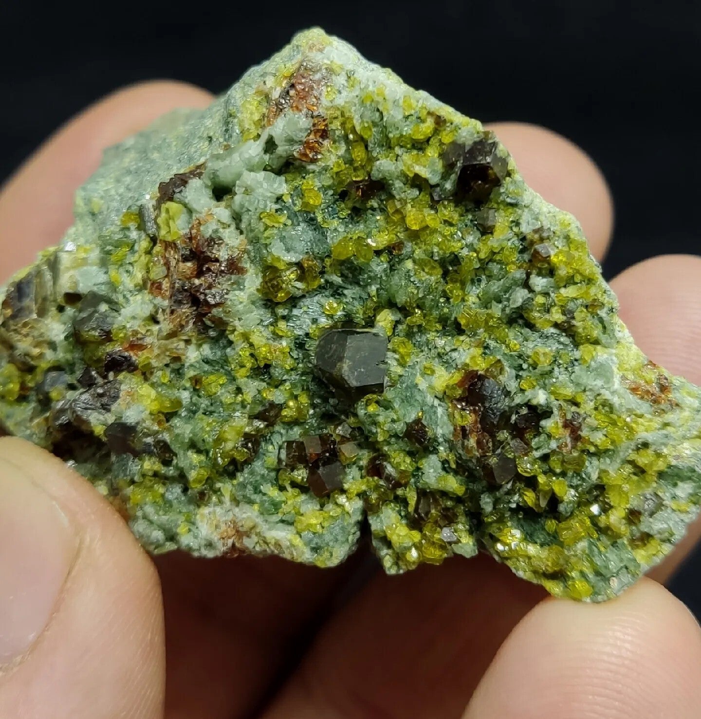 Andradite Garnets Crystals on matrix with Epidotes and Diopside 80 grams