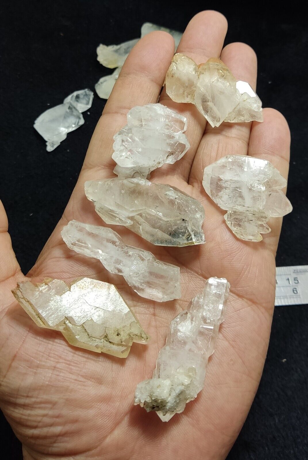 13 Faden/chlorite quartz Crystals