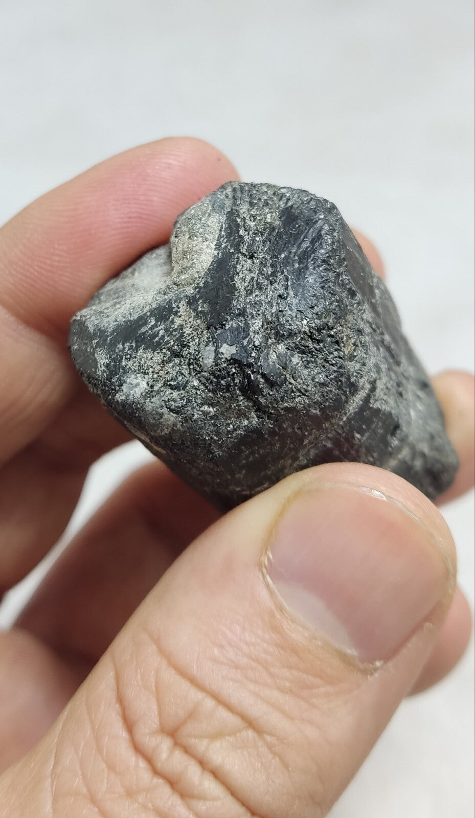 An amazing specimen of terminated black tourmaline 66 grams