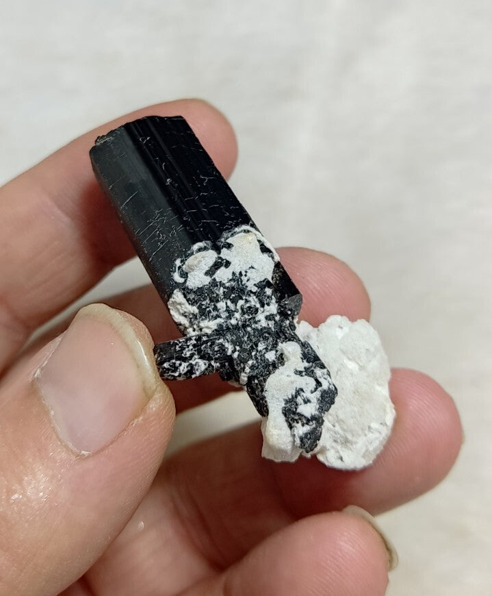 Natural Terminated Black Tourmaline Crystal 22 grams