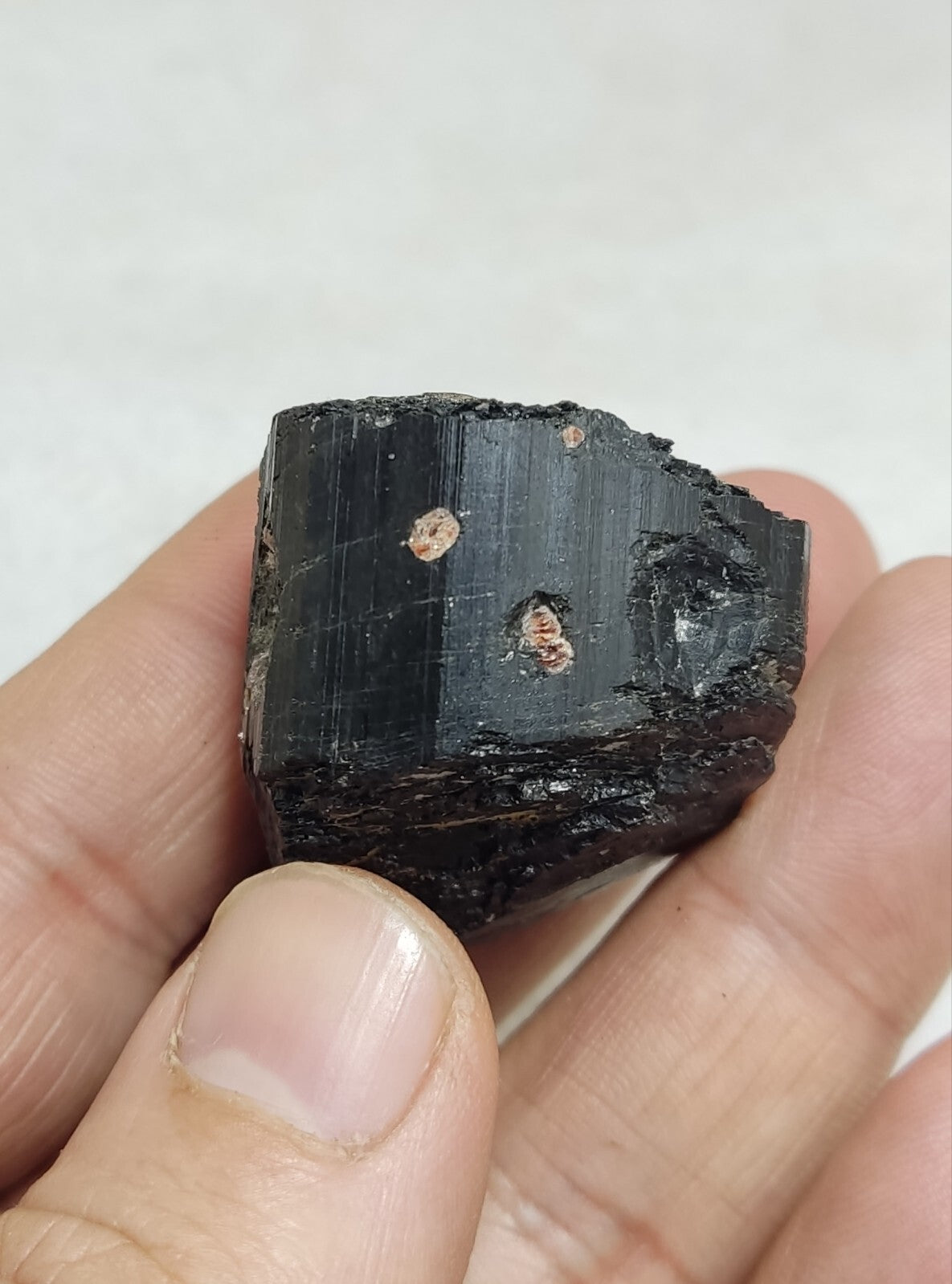 An amazing specimen of terminated black tourmaline 62 grams