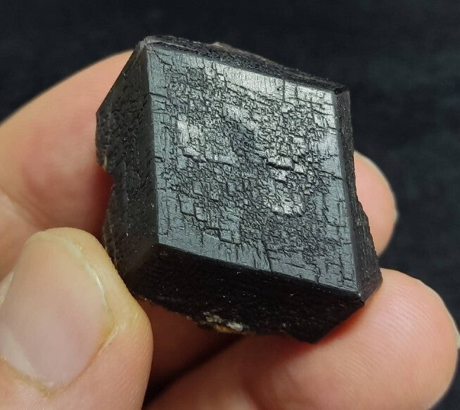 Garnet variety andradite crystal  specimen 41 grams