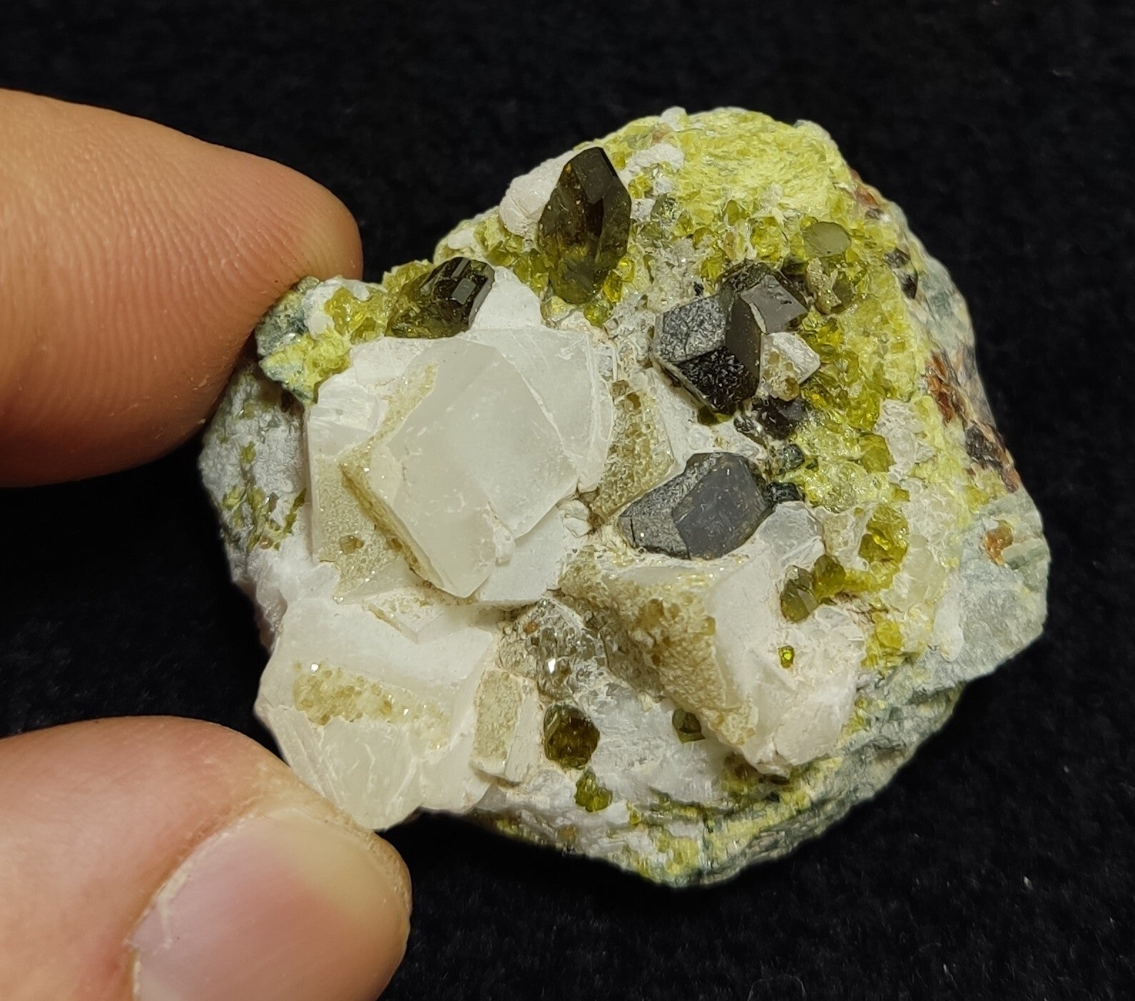 Andradite garnets on matrix with epidote and calcite 41 grams