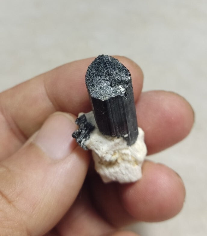 Black Tourmaline Crystal with Albite Feldspar 14 grams