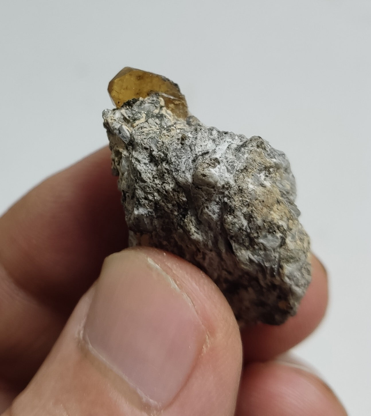 An Aesthetic Natural terminated specimen of rare xenotime on matrix 12 grams