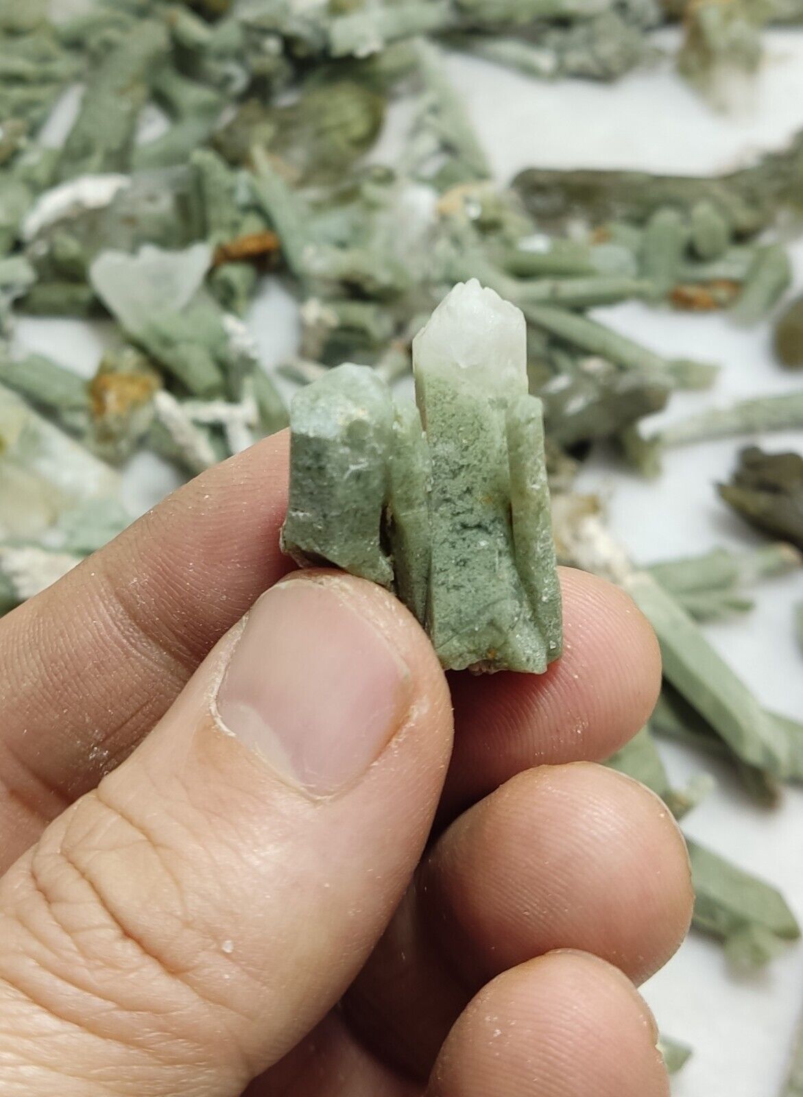 470 grams Chlorite Quartz crystals