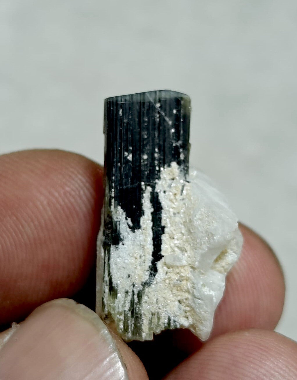 33 Carats Natural Green Cap Tourmaline Crystal With Albite.