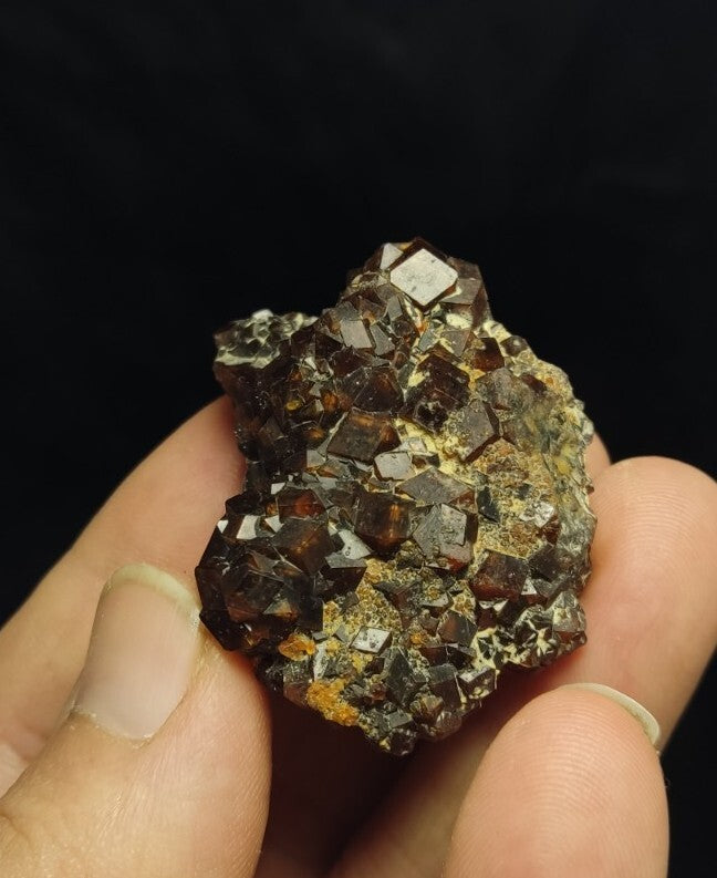 Natural Andradite Garnets Cluster 51 grams