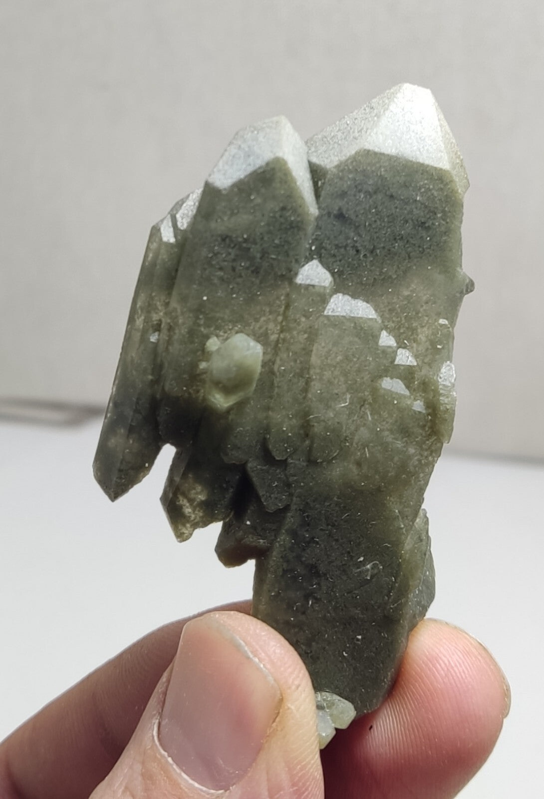 A very Aesthetic Natural beautifully terminated Chlorite Quartz cluster 31 grams