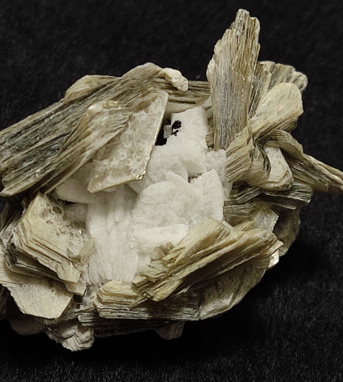 An Aesthetic specimen of muscovite with Tourmaline and albite 27 grams