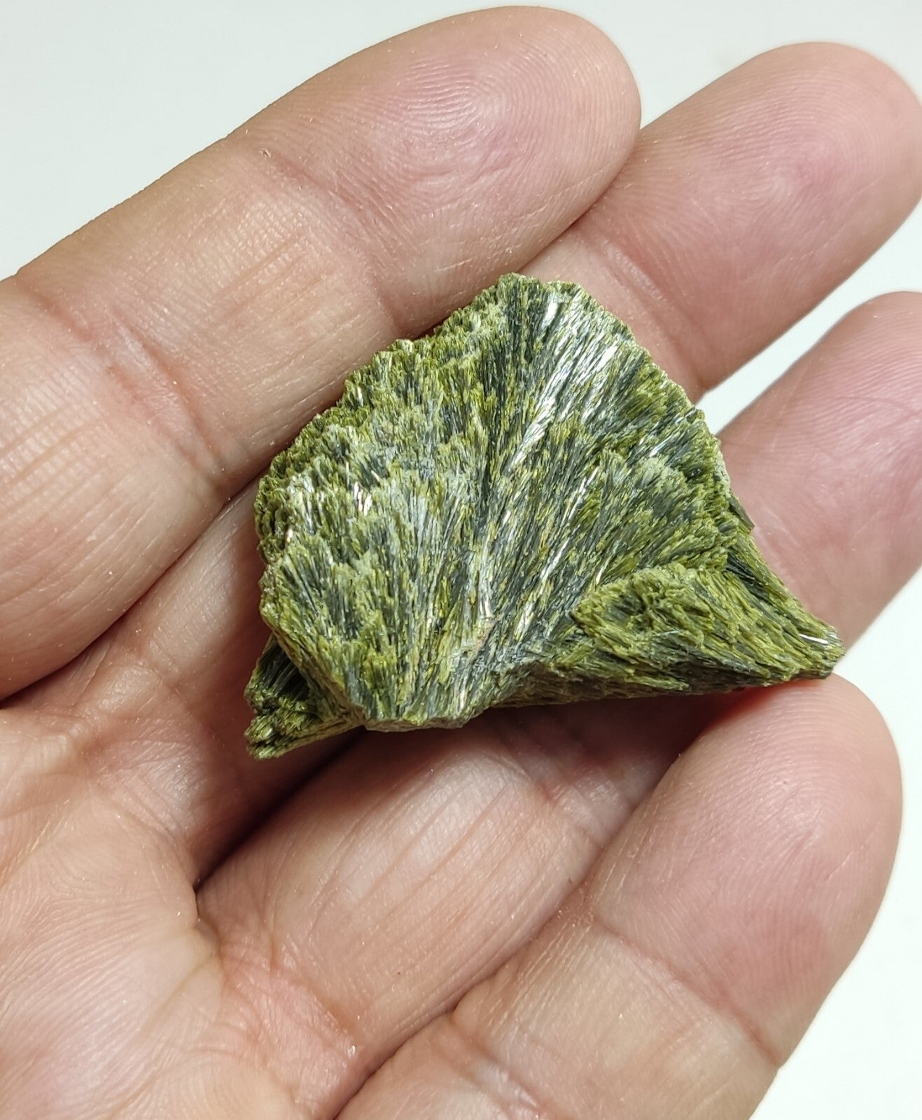 An aesthetic specimen of epidote crystal spray type 22 grams
