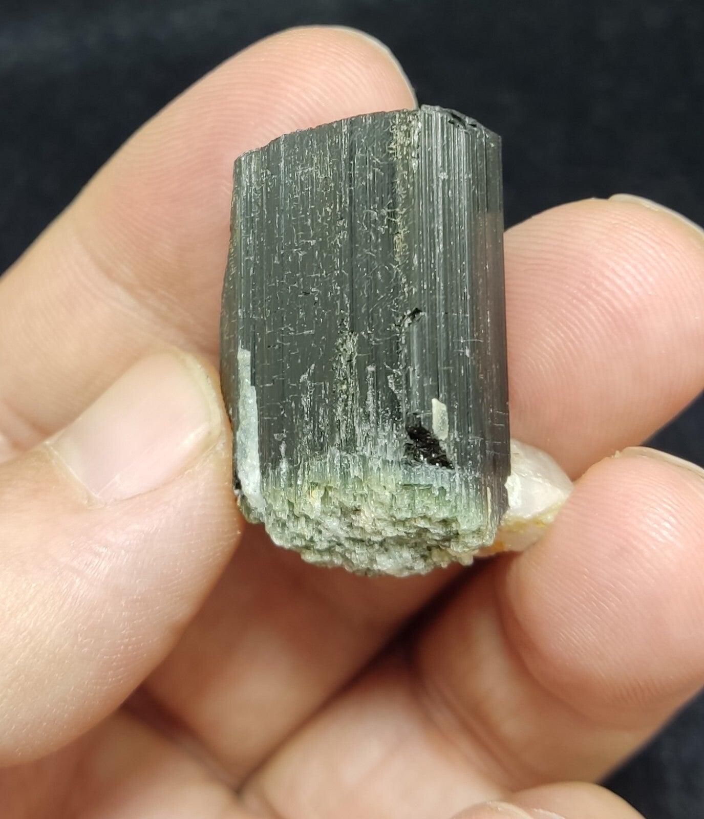 An Aesthetic specimen of black Tourmaline crystal with apatite 26 grams