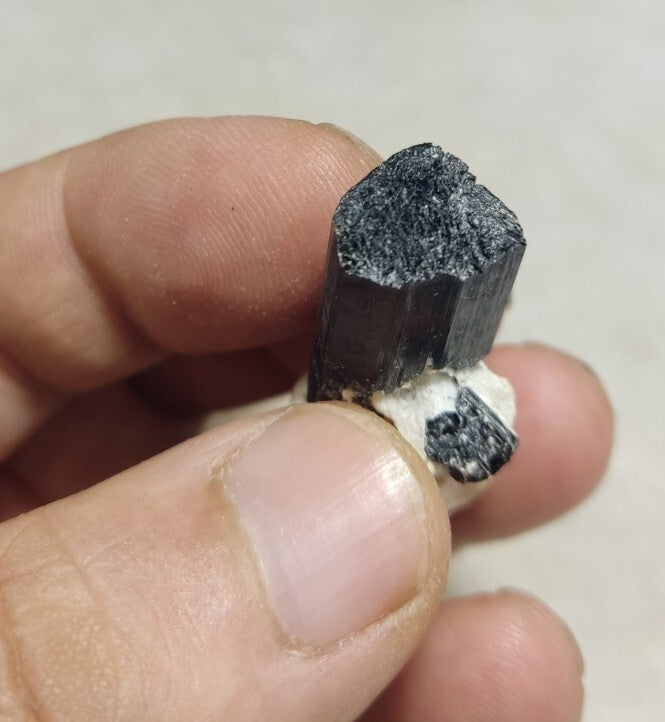 Black Tourmaline Crystal with Albite Feldspar 14 grams