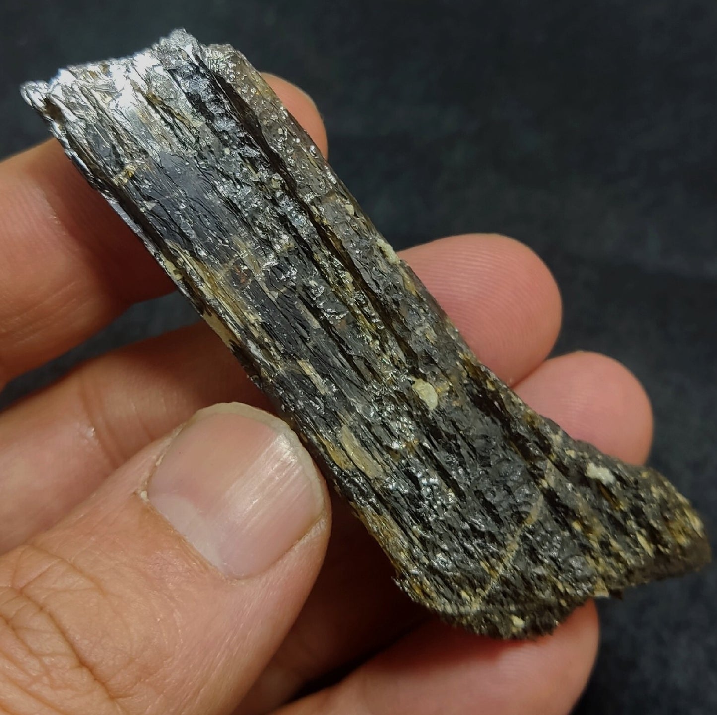 Single etched Epidote Crystal 34 grams