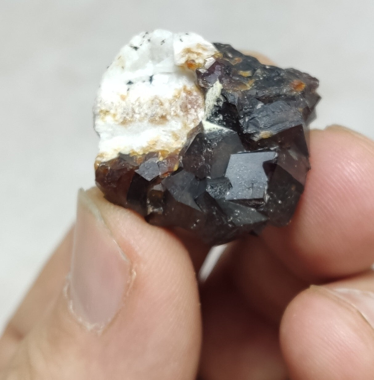 An Aesthetic specimen of andradite garnets on matrix 18 grams
