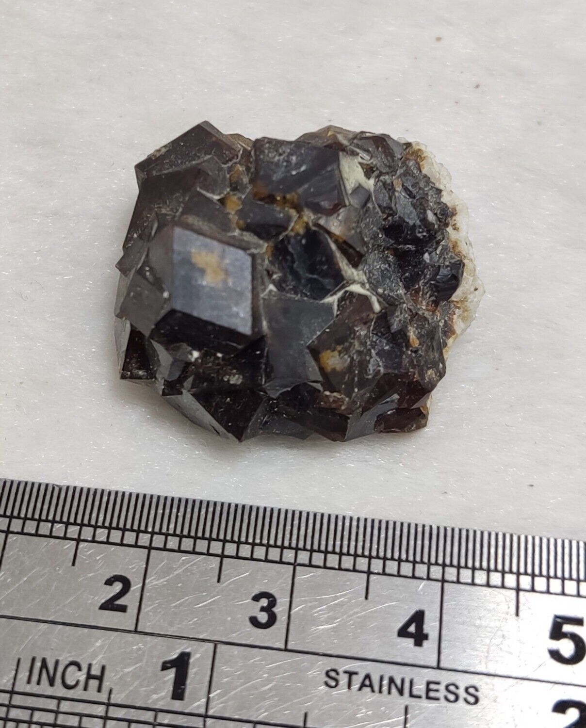 An Aesthetic specimen of andradite garnets on matrix 18 grams