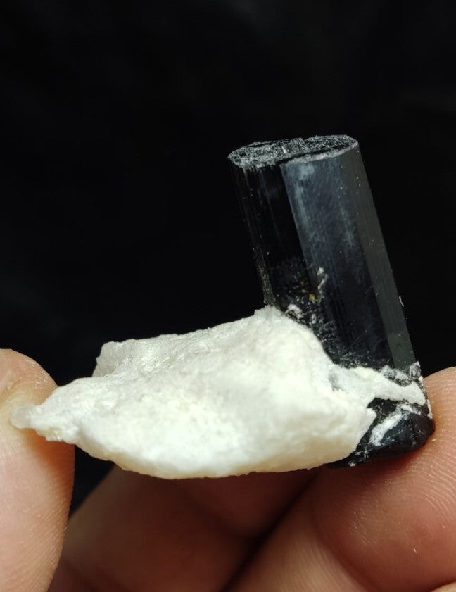 Black Tourmalines Crystal on Matrix of Albite 24 grams