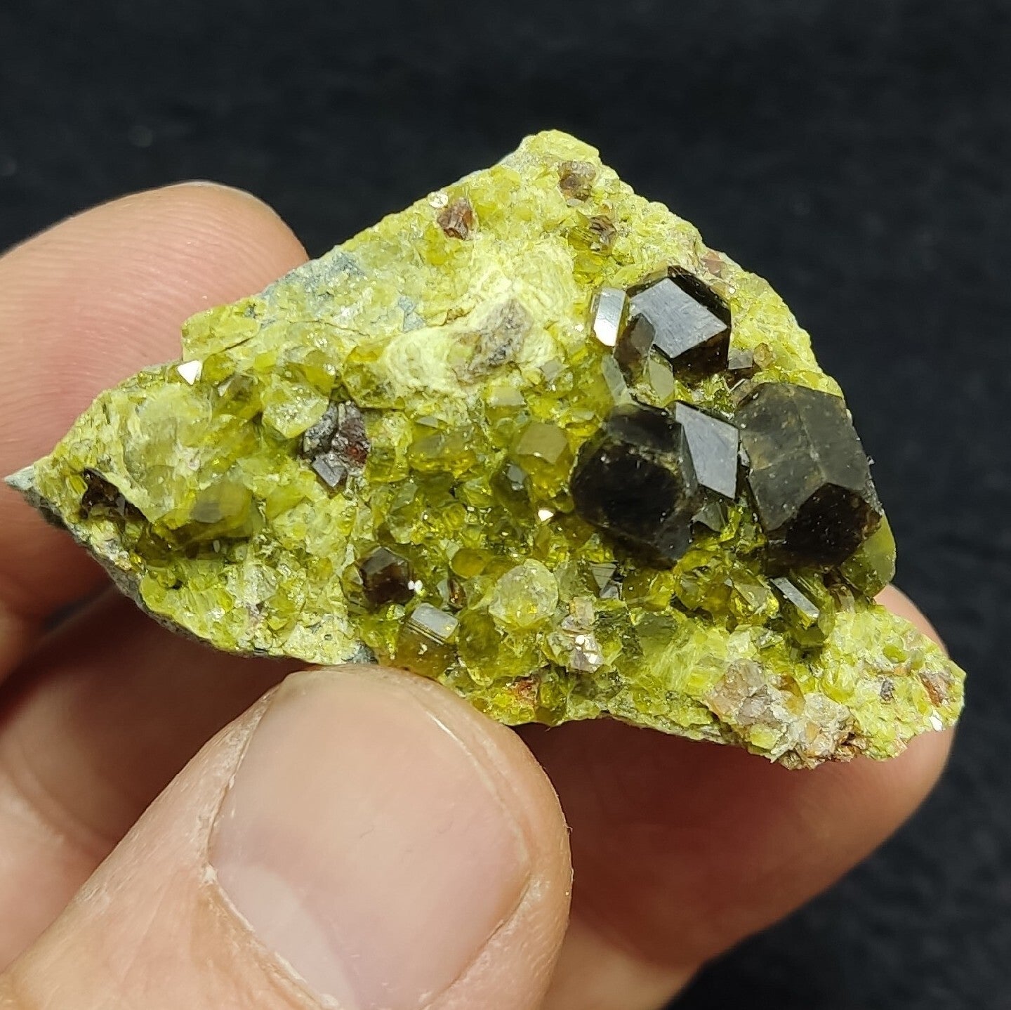Andradite Garnets Crystals on matrix with Epidotes 40 grams