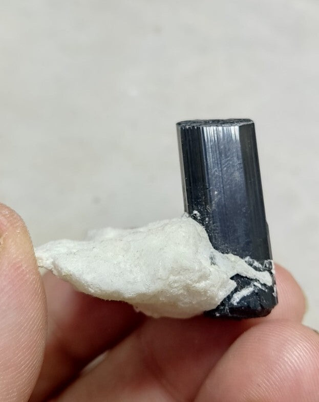 Black Tourmalines Crystal on Matrix of Albite 24 grams