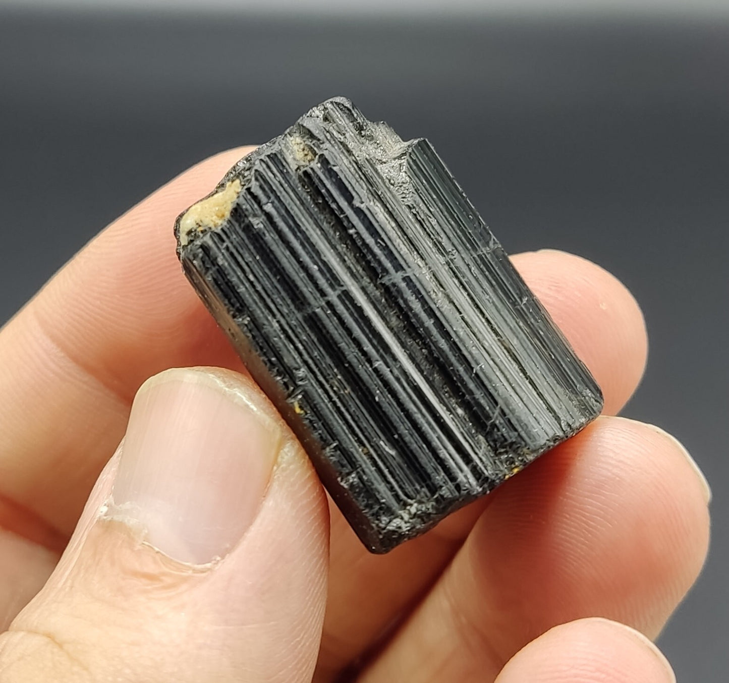 An amazing specimen of terminated black tourmaline 32 grams