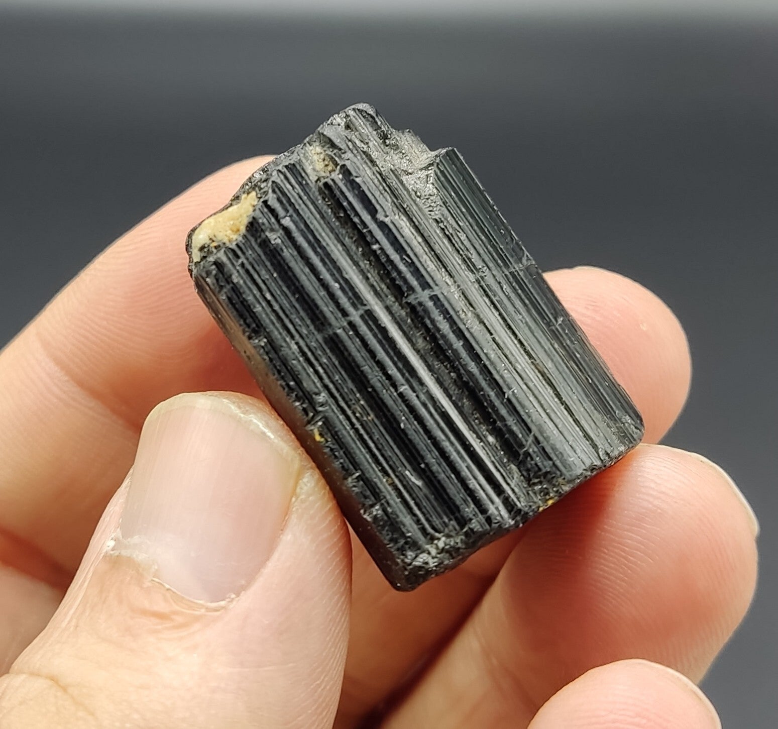 An amazing specimen of terminated black tourmaline 32 grams