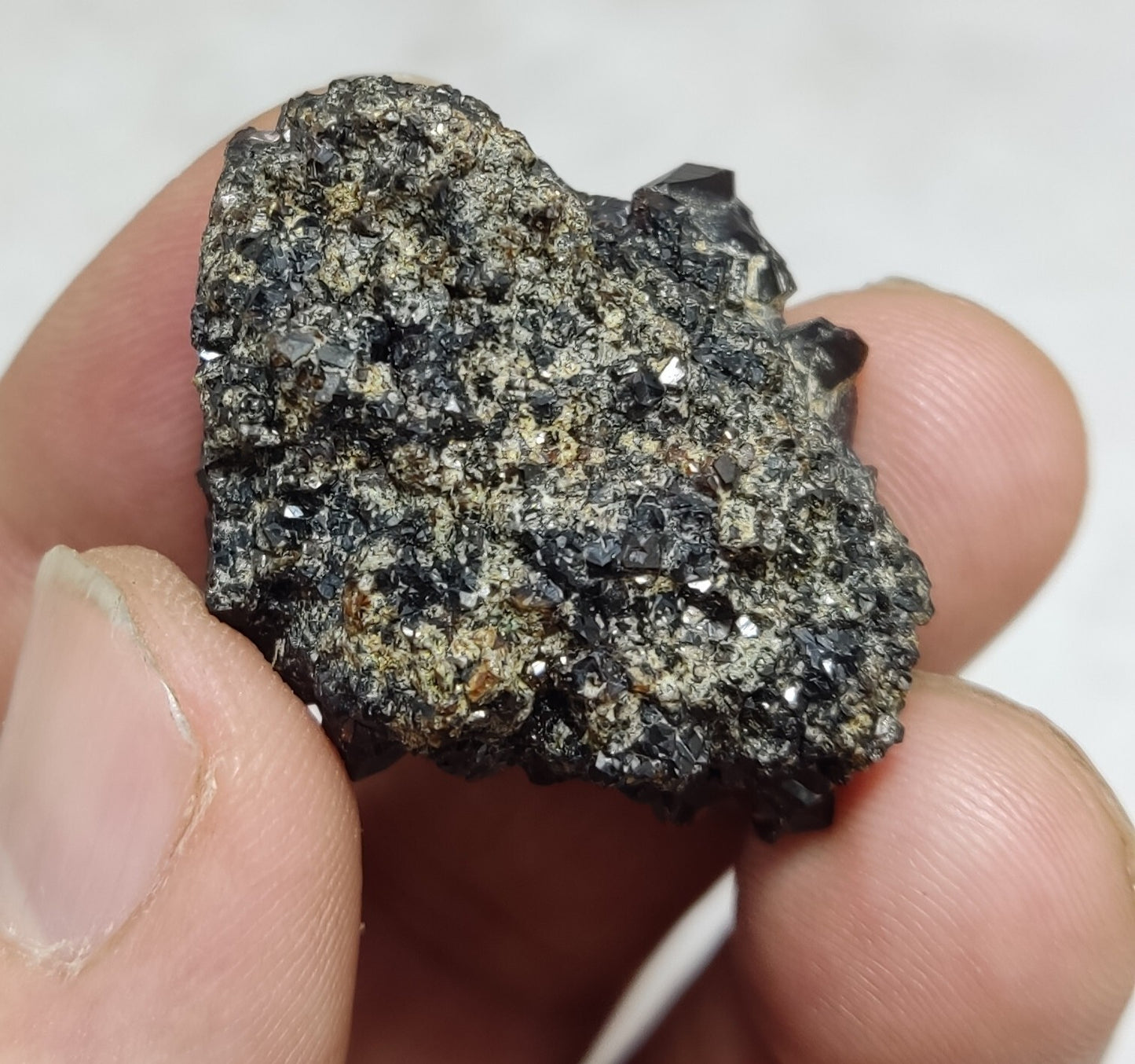 An Aesthetic specimen of andradite garnets on matrix 28 grams