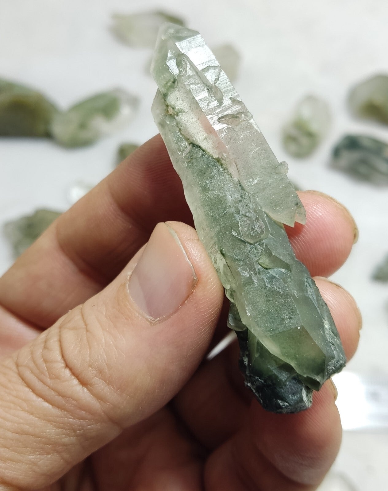 345 grams Chlorite Quartz crystals