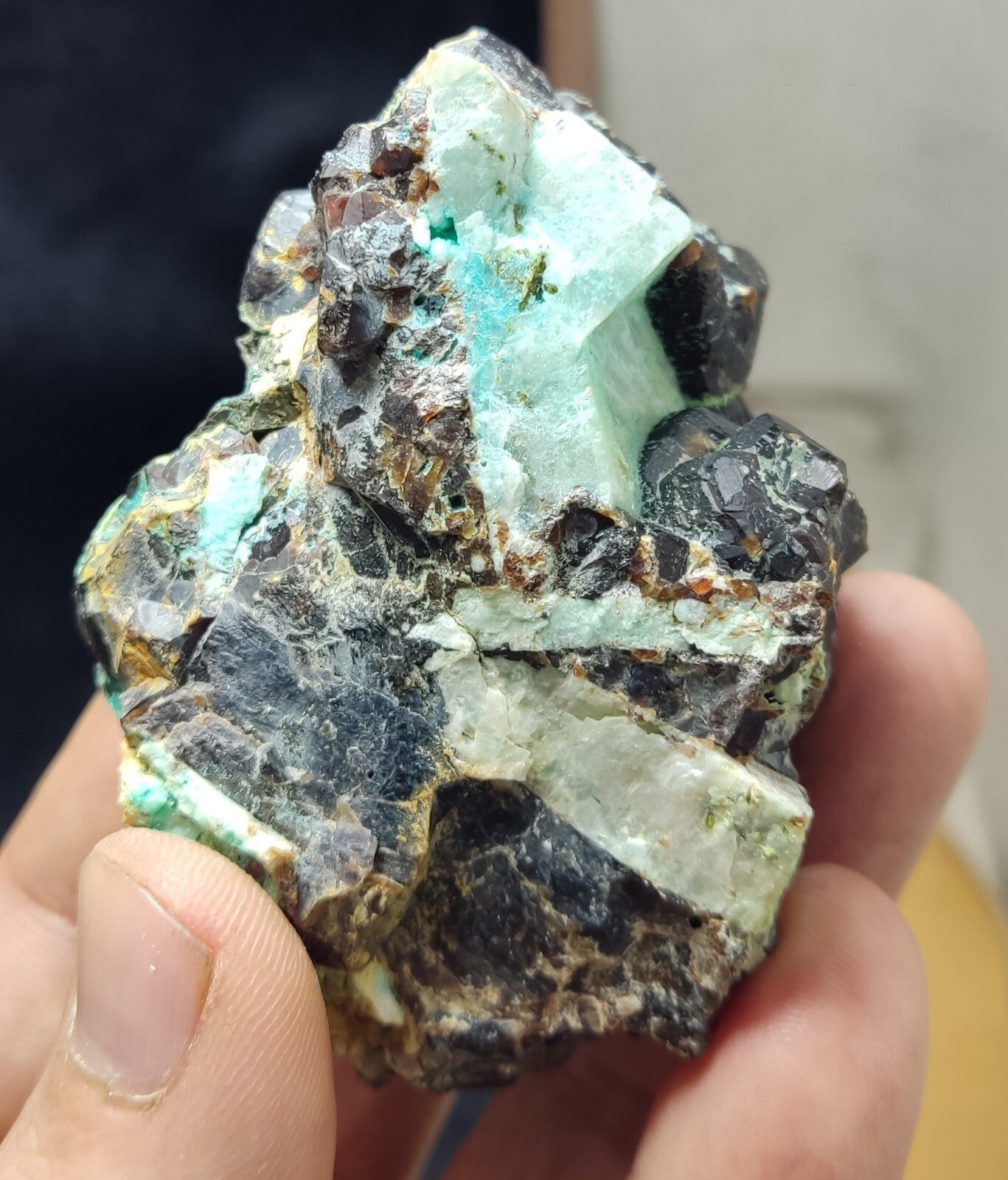 233 grams Aesthetic specimen Garnets cluster andradite garnets natural garnets