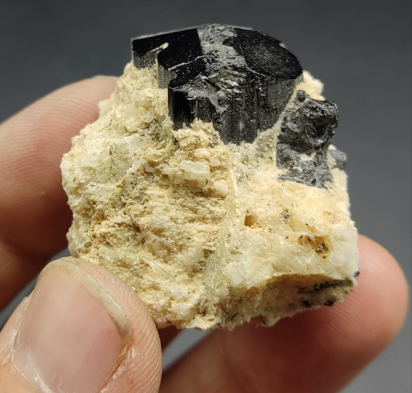 An aesthetic specimen of black tourmaline crystal on matrix 21 grams