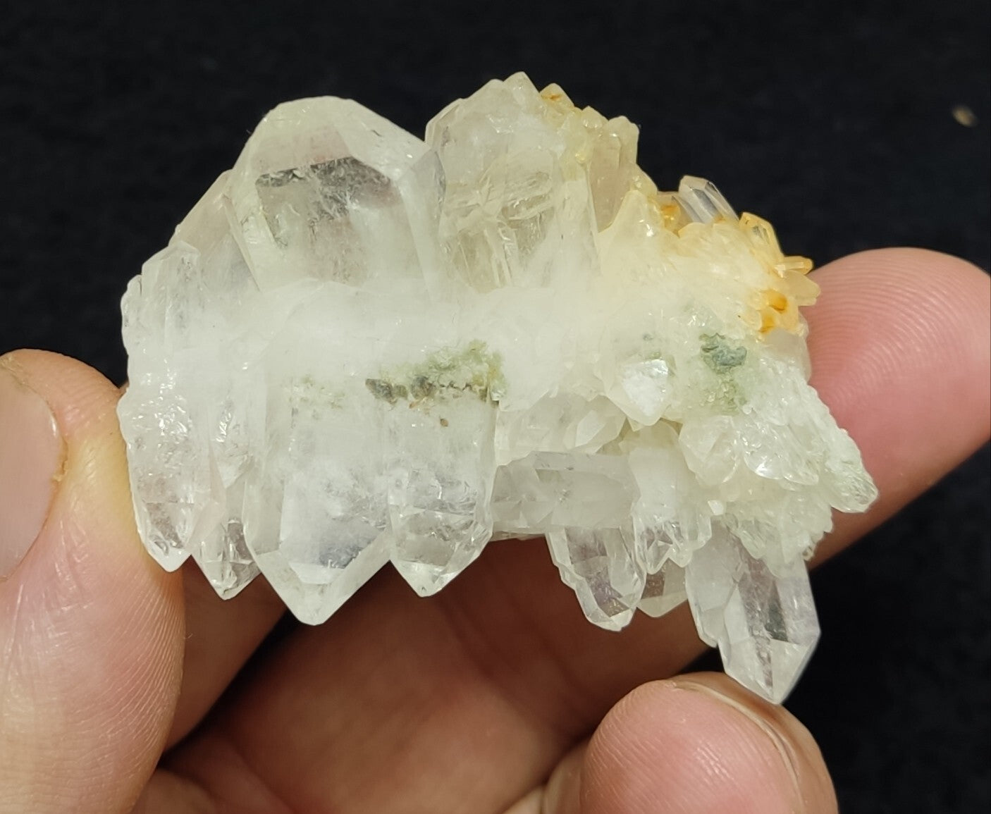An Aesthetic terminated Quartz crystal with chlorite inclusions 43 grams