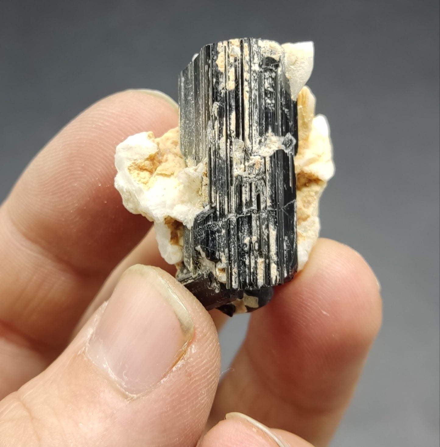 An aesthetic specimen of black tourmaline crystal on matrix 21 grams