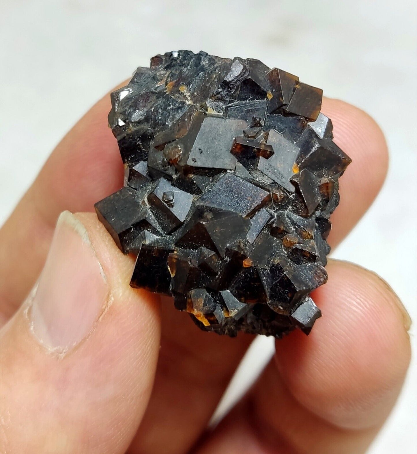 An Aesthetic specimen of andradite garnets on matrix 28 grams