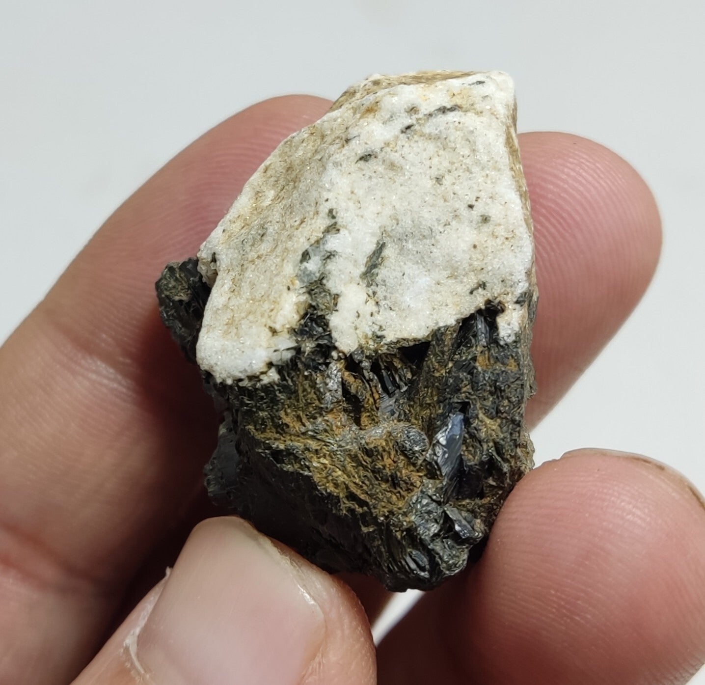 An aesthetic specimen of terminated aegirine crystals on matrix 25 grams