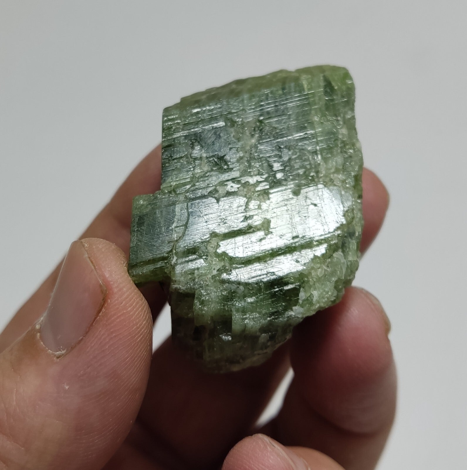 An amazing specimen of diopside crystal 71 grams
