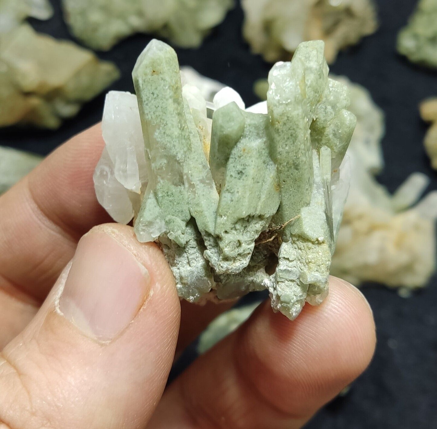 480 grams Chlorite Quartz crystals