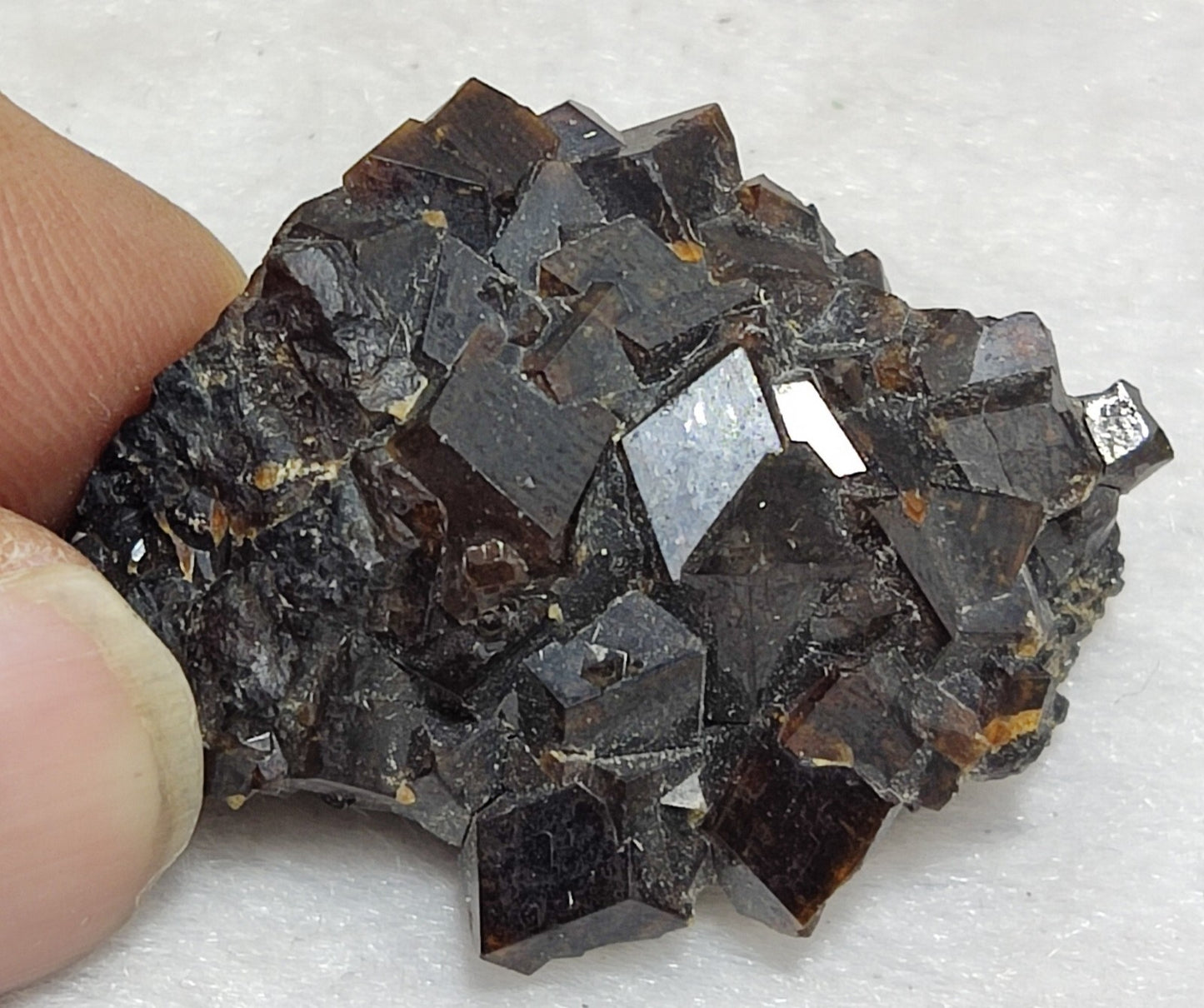 An Aesthetic specimen of andradite garnets on matrix 28 grams