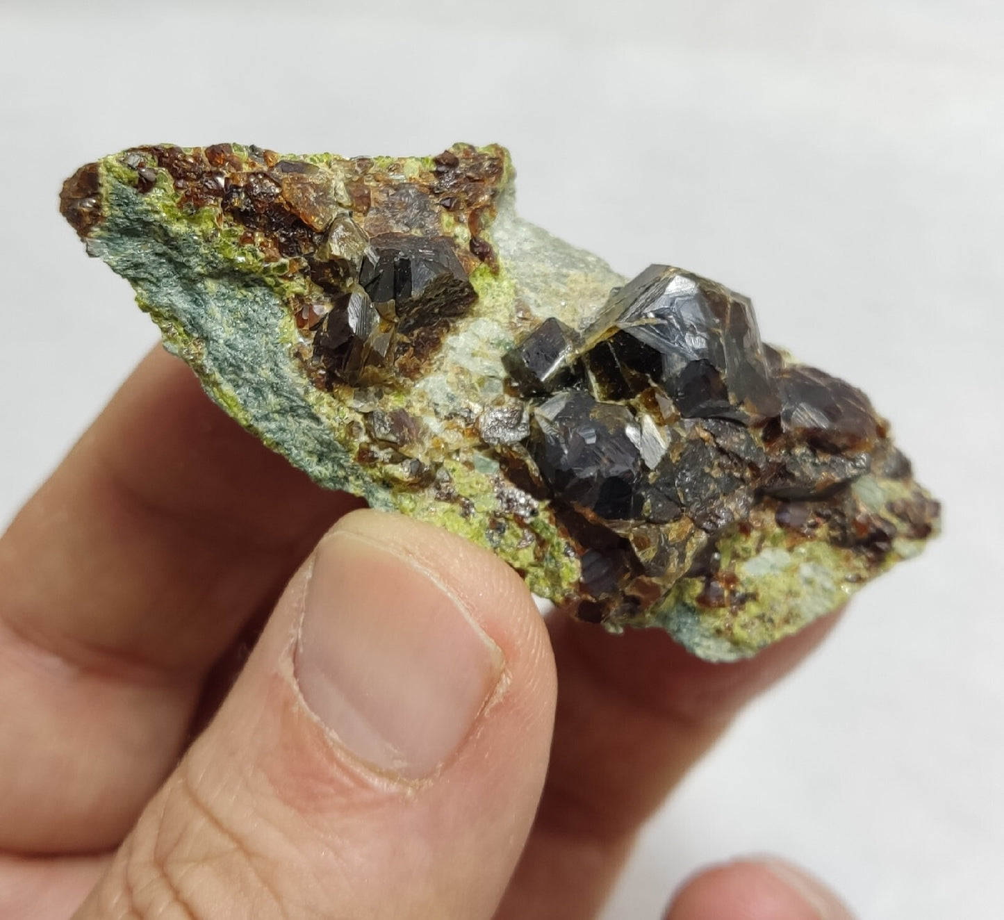 Andradite garnets on matrix with epidote 43 grams