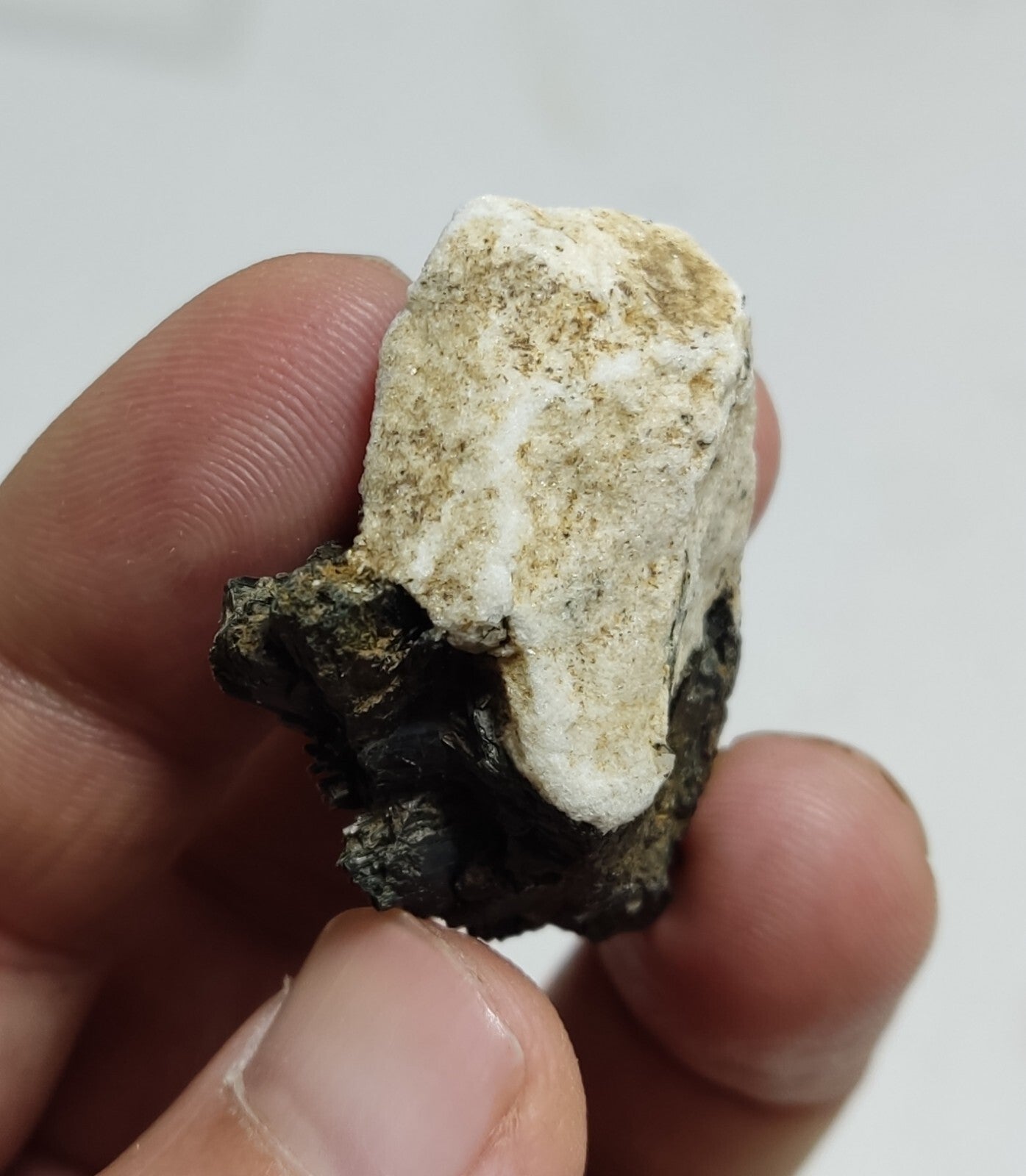 An aesthetic specimen of terminated aegirine crystals on matrix 25 grams