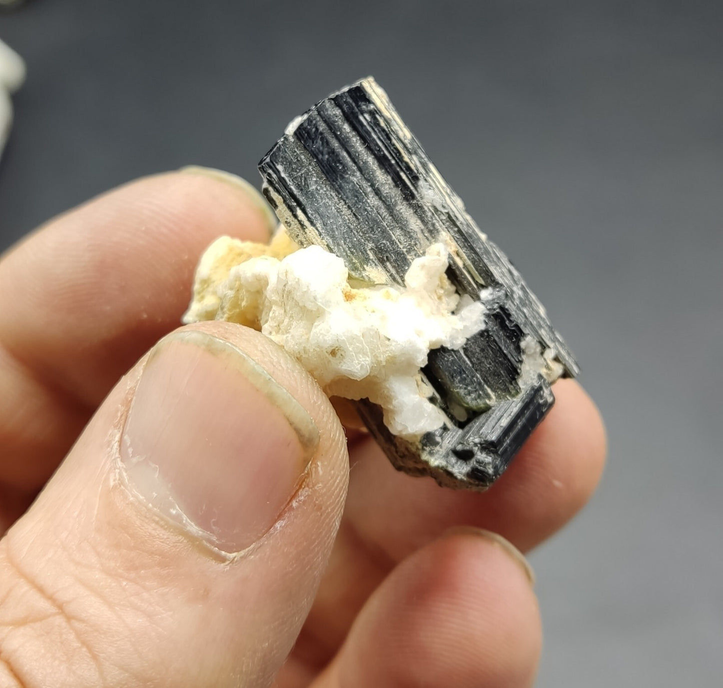 An aesthetic specimen of black tourmaline crystal on matrix 21 grams