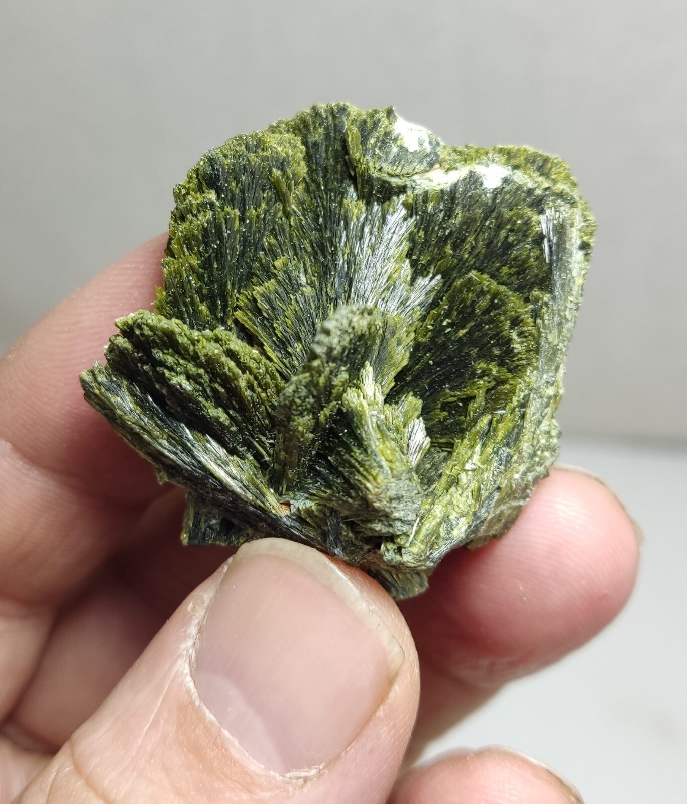 An aesthetic specimen of epidote crystal spray type 31 grams