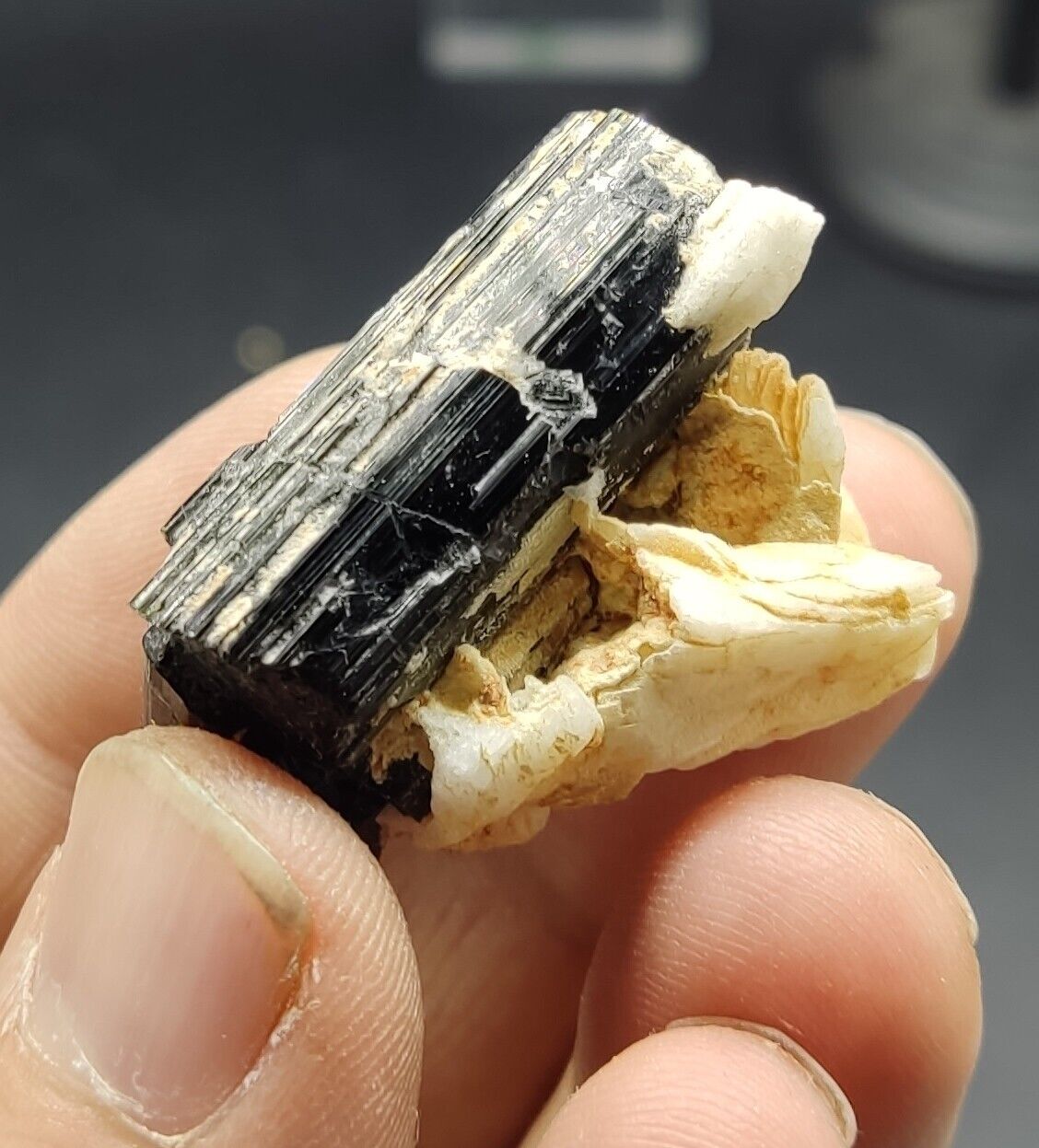An aesthetic specimen of black tourmaline crystal on matrix 21 grams