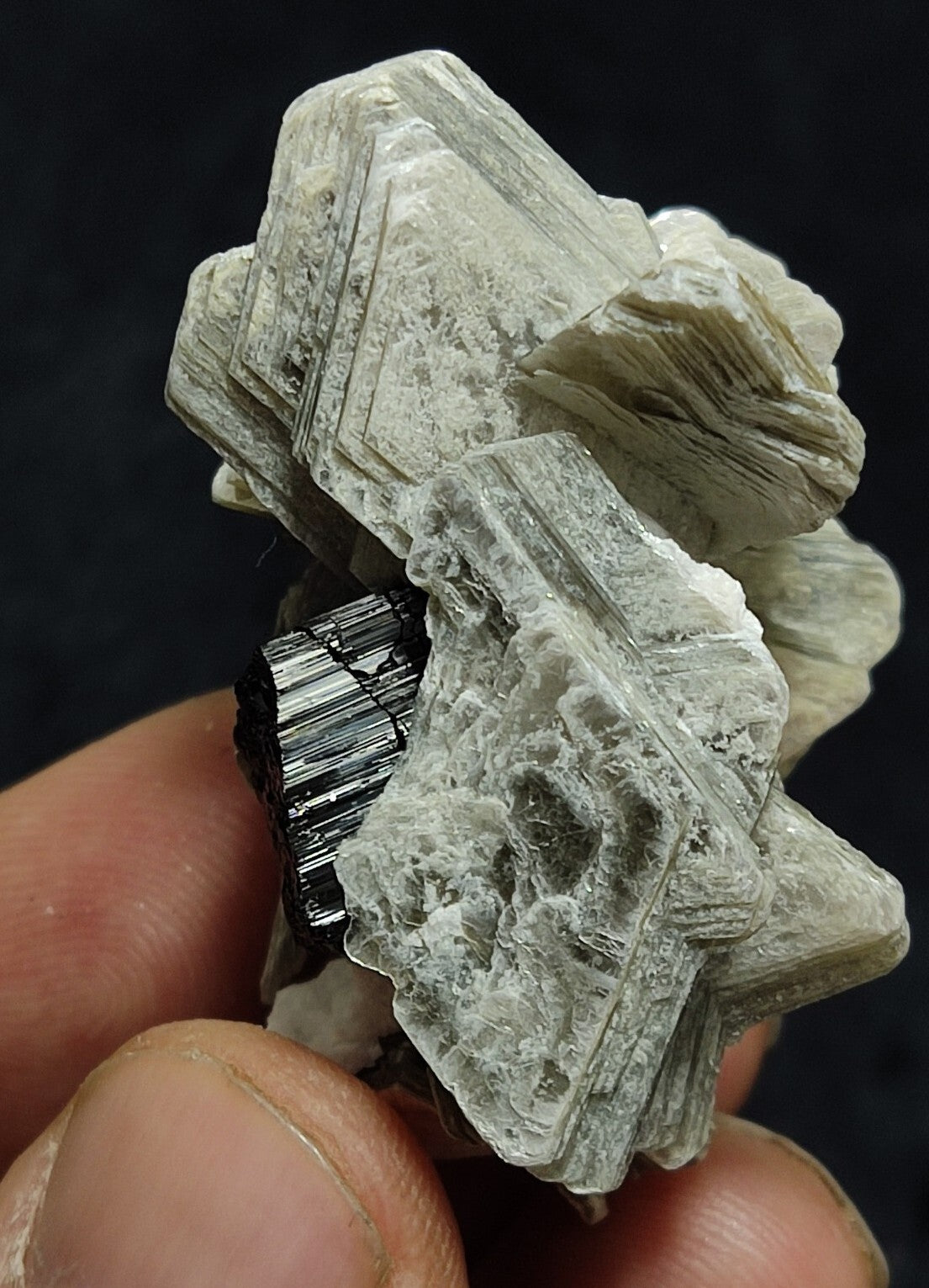 An Aesthetic specimen of muscovite with Tourmaline and albite 27 grams