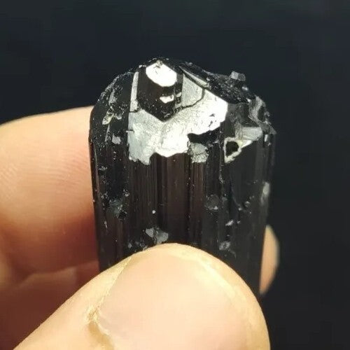 Natural Terminated Black Tourmaline Crystal 24 grams