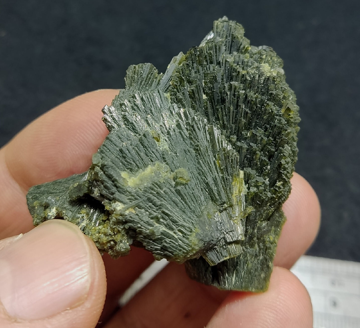 Single natural Epidote Crystal spray formations 39 grams