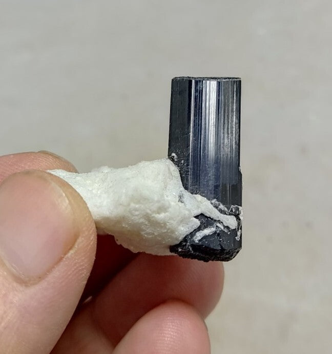 Black Tourmalines Crystal on Matrix of Albite 24 grams