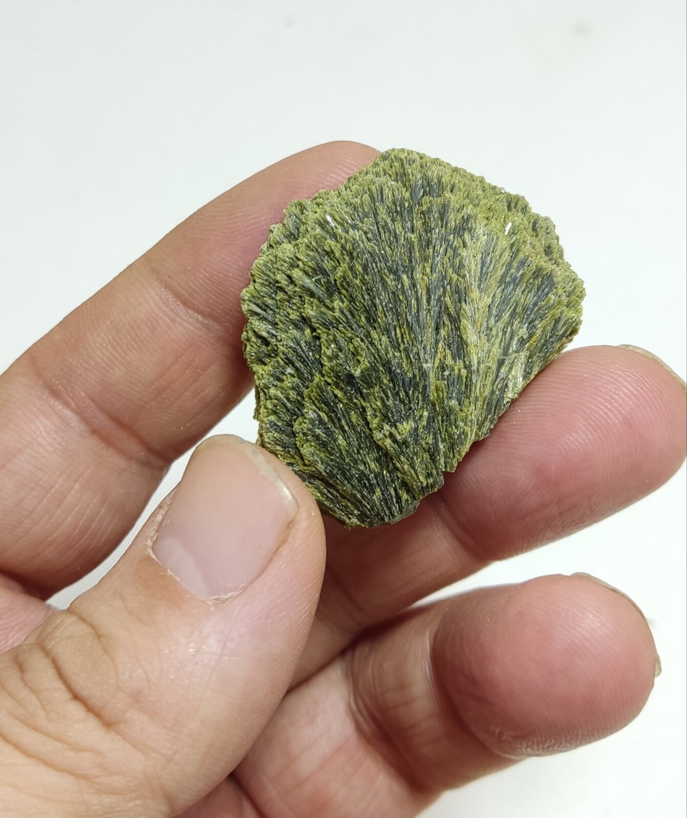 An aesthetic specimen of epidote crystal spray type 22 grams