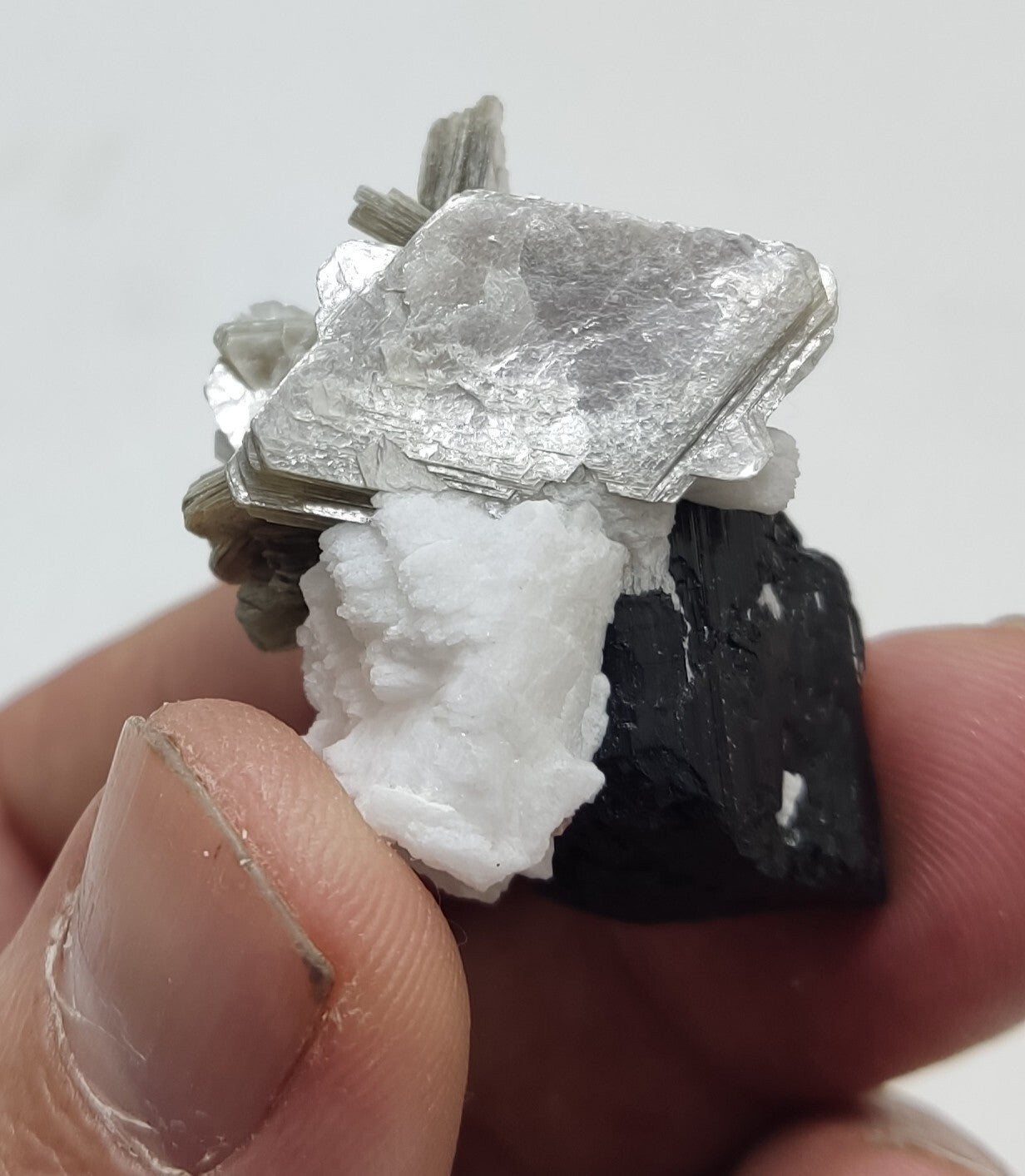 An Aesthetic specimen of muscovite with Tourmaline and albite 26 grams