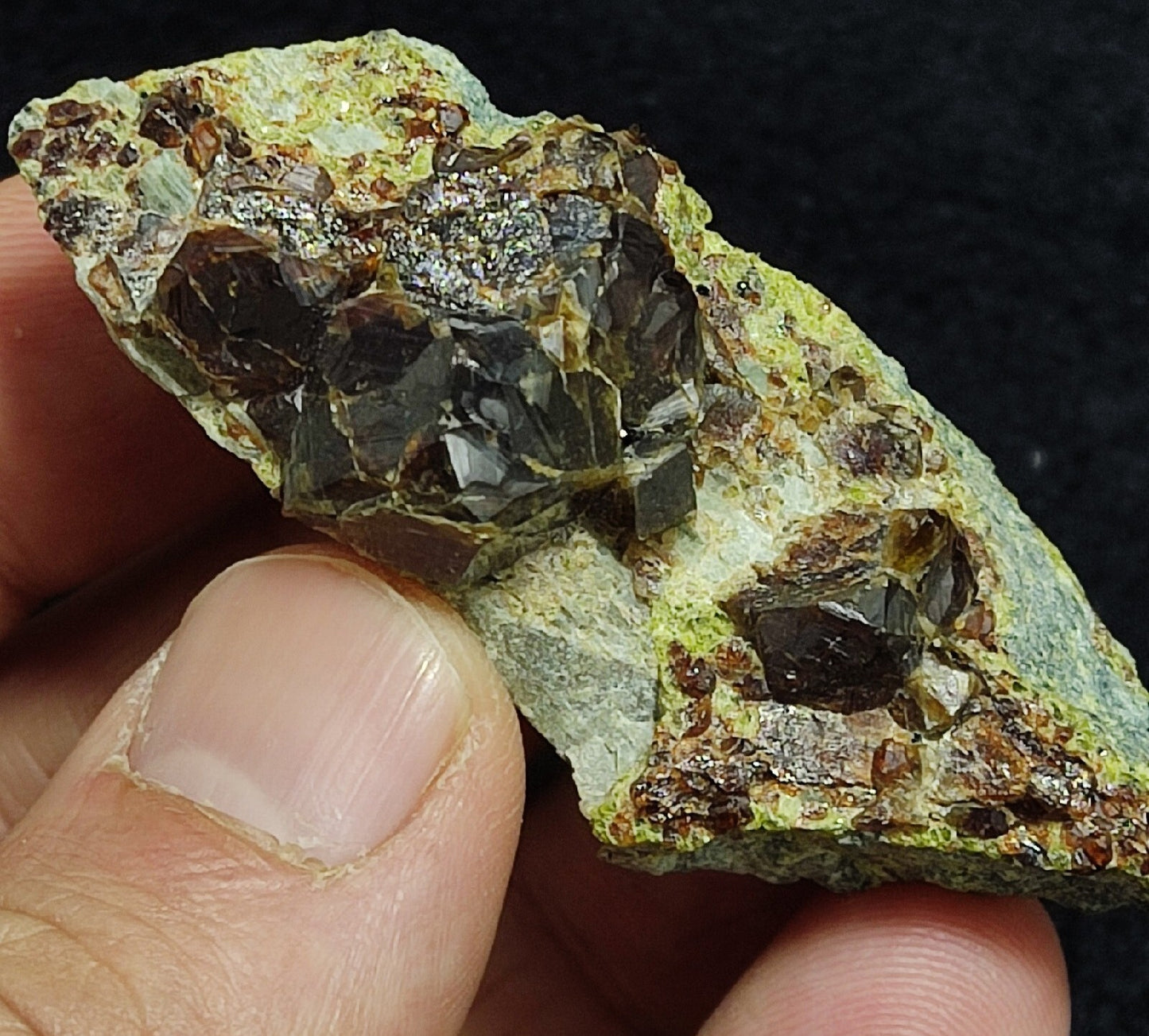 Andradite garnets on matrix with epidote 43 grams