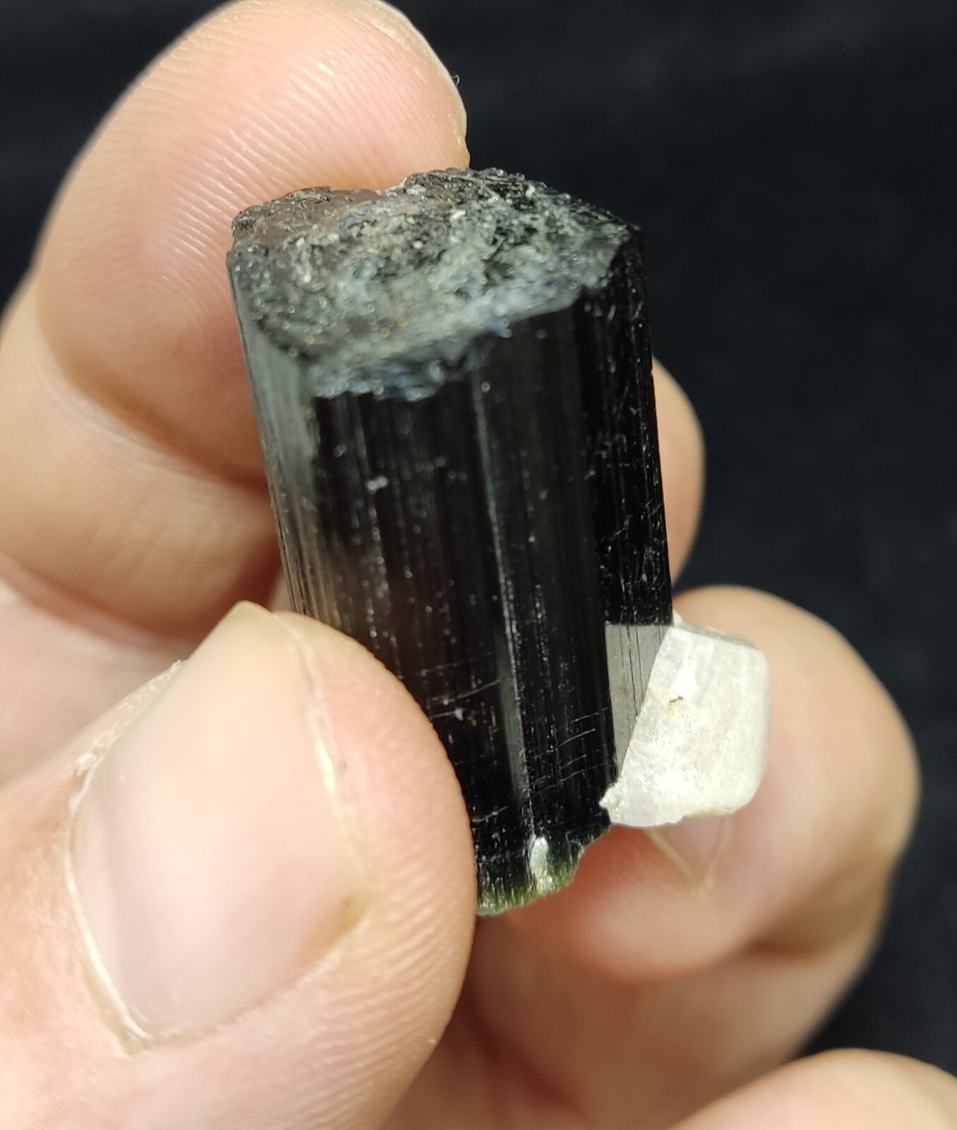 An Aesthetic specimen of black Tourmaline crystal with apatite 26 grams