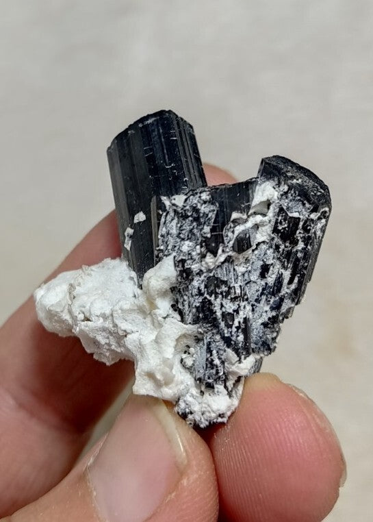 Natural Terminated Black Tourmaline Crystal Cluster with Albite 24 grams